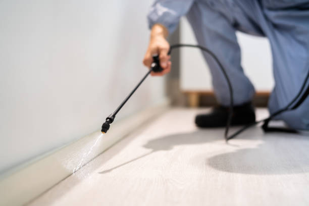 Licensed Pest Control service in Redwood Valley, CA - Show Me Pest Control