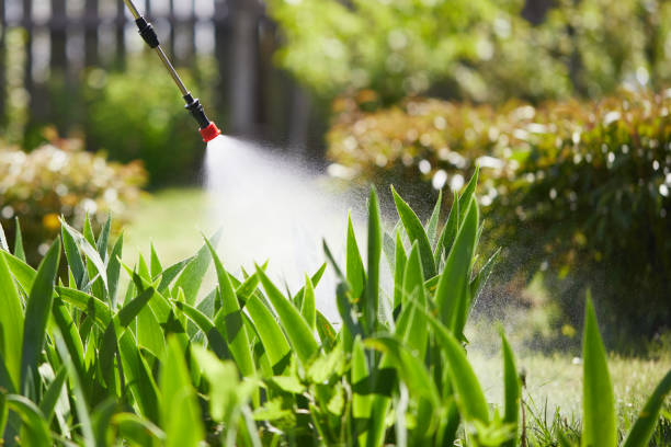 24/7 Emergency Wasp Removal experts in Redwood Valley, CA