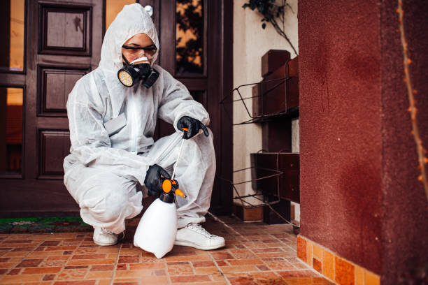 Reliable Wasp Removal contractor in Redwood Valley, CA by Show Me Pest Control